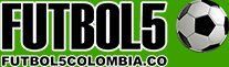 canchas de futbol 5 en bogota - cancha sintetica de futbol 5 48